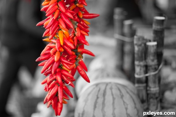 Hot pepper